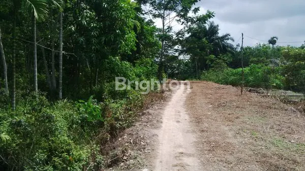 image TANAH LUAS 3000 JLN MATOA (3)