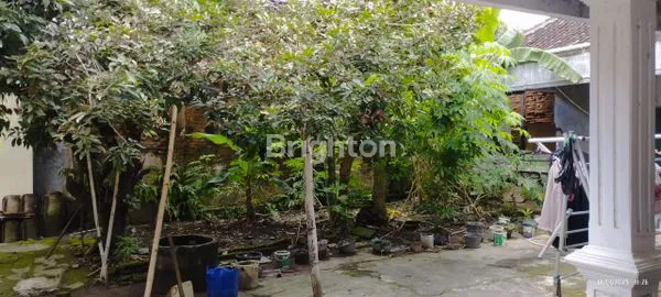 image RUMAH DI KRANGAN GATAK SUKOHARJO (4)