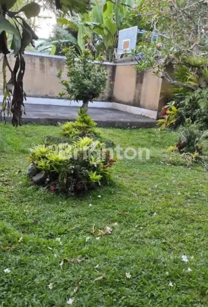 image TANAH KAVLING HOOK 3 JUTAAN AREA MENGWI, BADUNG BALI (4)