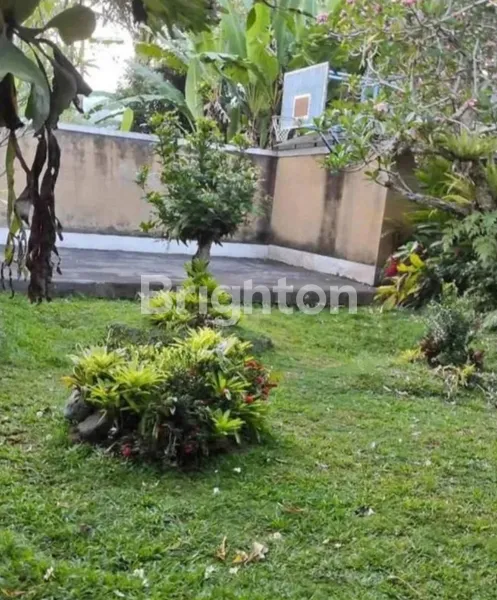 image TANAH MURAH 3 JUTAAN AREA MENGWI, BADUNG BALI (5)