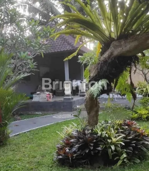 image TANAH MURAH 3 JUTAAN AREA MENGWI, BADUNG BALI (6)