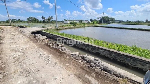 (BA) TANAH 26 ARE DI SINGAPADU KALERAN DIJUAL MURAH COCOK UNUTK DIBANGUN PRIVATE VILLA