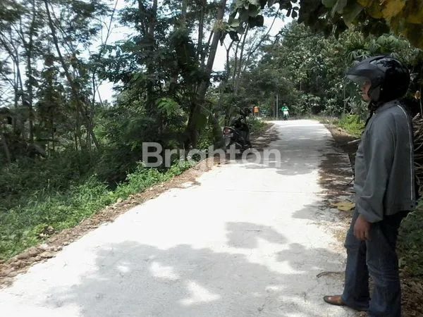 image TANAH COCOK UNTUK PERUMAHAN (2)