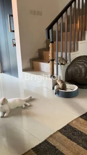 image RUMAH GOLDEN PARK 2 CISAUK FULLY FURNISHED CANTIK (4)