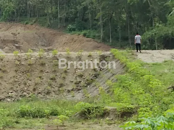 image TANAH PEKARANGAN COCOK UNTUK PETERNAKAN, WAHANA WISATA DI WONOSEGORO BOYOLALI (2)