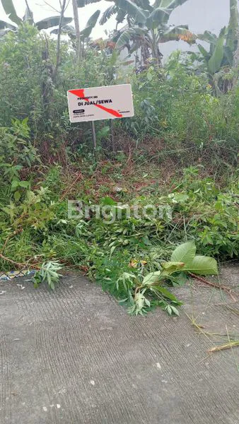 image TANAH KAVLING BELLER (2)