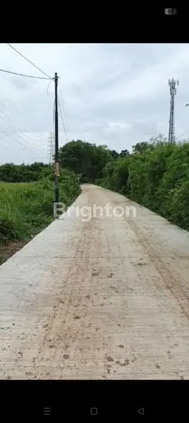 image KAVLING DI BADAK ANOM, SINDANG JAYA (1)