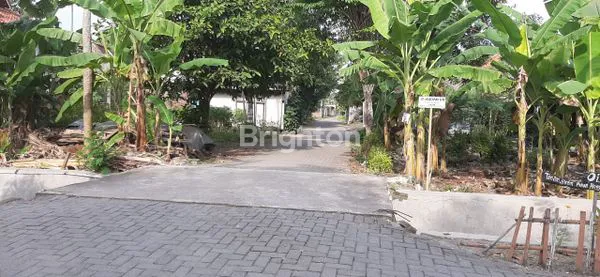 image TANAH STRATEGIS SIAP BANGUN DI TLOGOMULYO (2)