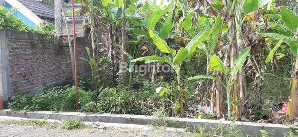 image TANAH STRATEGIS SIAP BANGUN DI TLOGOMULYO (3)