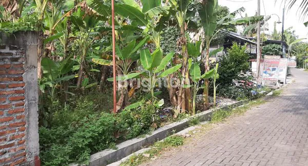 image TANAH STRATEGIS SIAP BANGUN DI TLOGOMULYO (4)