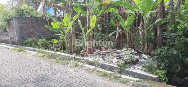 image TANAH STRATEGIS SIAP BANGUN DI TLOGOMULYO (7)