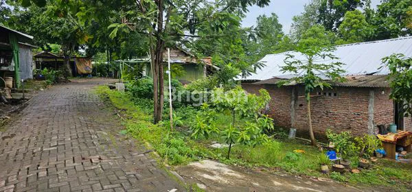 image TANAH STRATEGIS DI KAWASAN UNDIP TEMBALANG DEKAT CANDI GOLF (6)