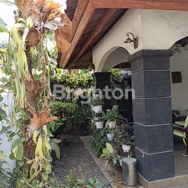 image RUMAH ETNIK ESTETIK KELAPA DUA TANGERANG (2)