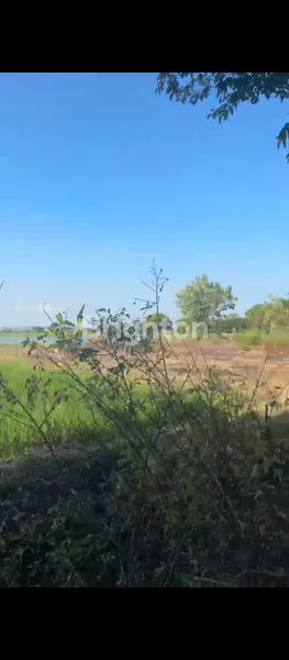 TANAH LOKASI DEKAT TOL CERME COCOK UNTUK PERUMAHAN