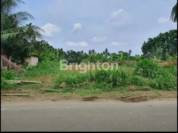 image TANAH NAMORAMBE (1)