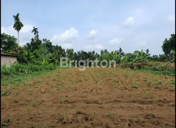 image TANAH NAMORAMBE (2)