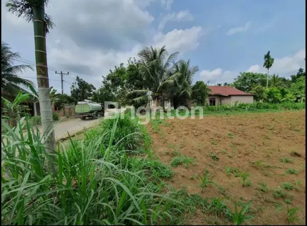 image TANAH NAMORAMBE (3)