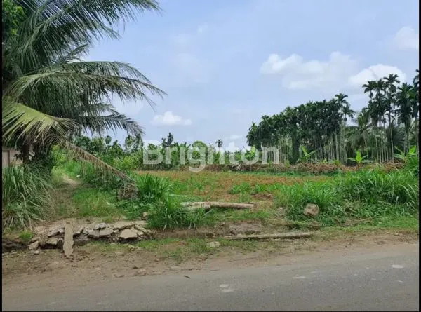 image TANAH NAMORAMBE (5)