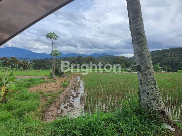 image VILLA+KEBUN BUAH, SERTA PETERNAKAN SANGAT COCOK UNTUK INVESTASI, KP CITEUREUP, LEUWILIANG, BOGOR, JAWA BARAT  (8)