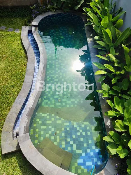 image HUNIAN MEWAH DI JALAN MOH. YAMIN RENON (2)