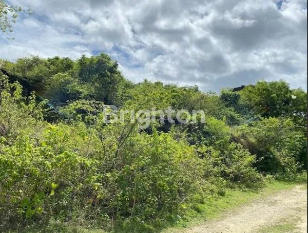 image TANAH DEKAT KAMPUS UNUD JIMBARAN (4)