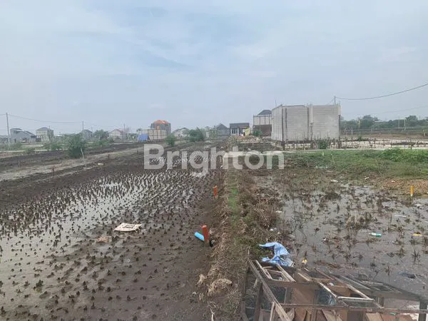 image TANAH KAVLING DI MENGANTI, GRESIK (1)