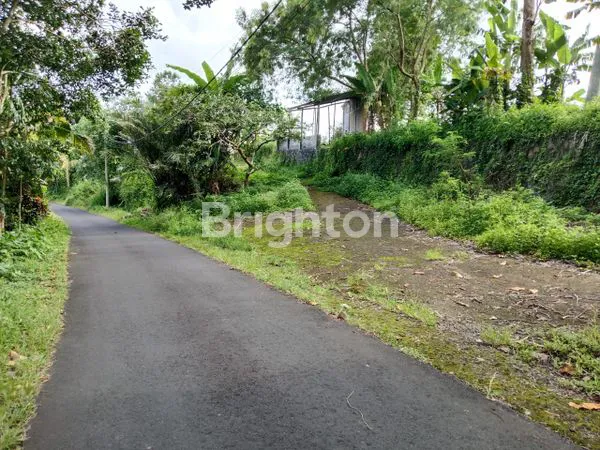 image TANAH SELUAS 6.820 M² DI TABANAN (2)