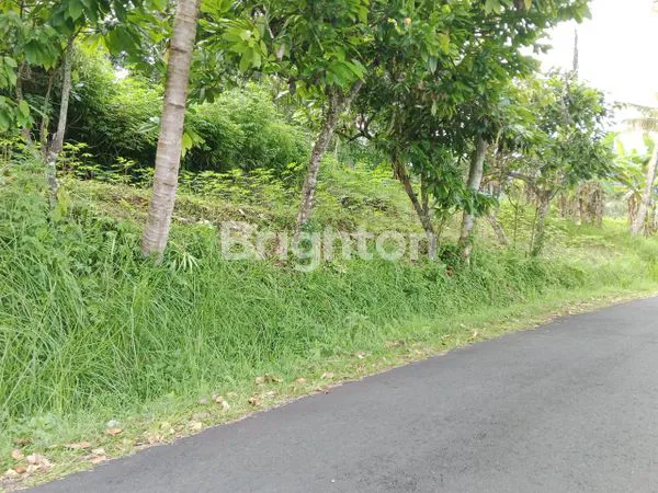 image TANAH SELUAS 6.820 M² DI TABANAN (3)