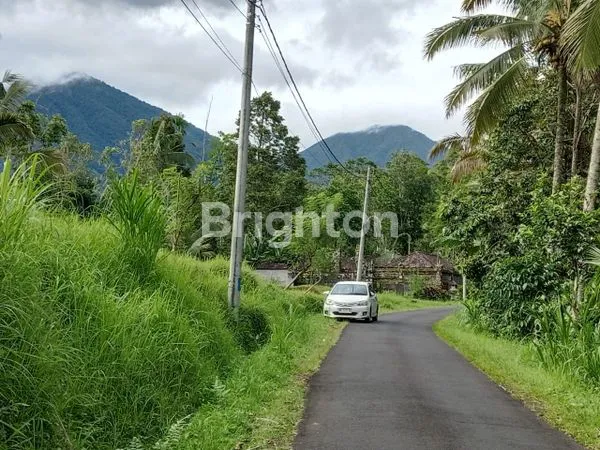 TANAH SELUAS 6.820 M² DI TABANAN