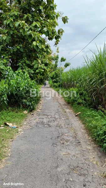 image SAWAH LUAS DEKAT JALAN RAYA BLIMBING JOMBANG (4)