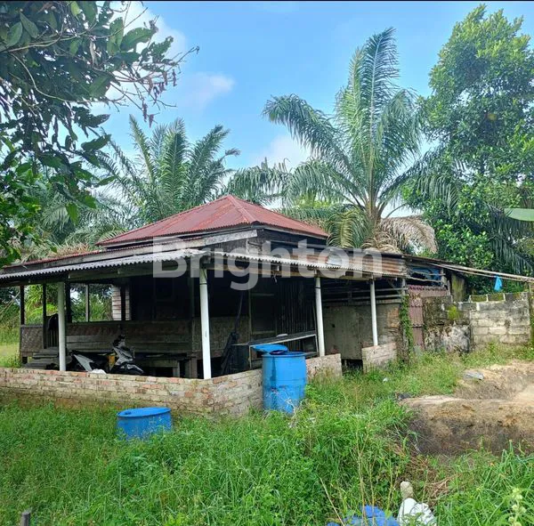 image TANAH LUAS UNTUK PERUMAHAN (2)