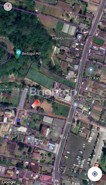 image LAHAN 900M2 DI BEDUGUL (3)