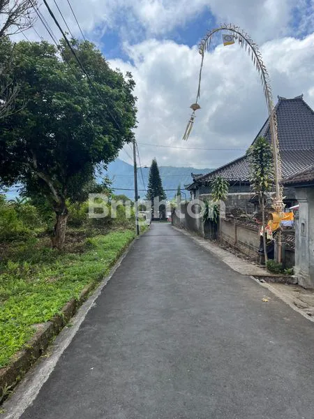 image LAHAN 900M2 DI BEDUGUL (4)