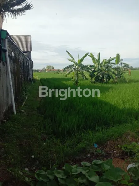 image TANAH BALONGPANGGANG (1)