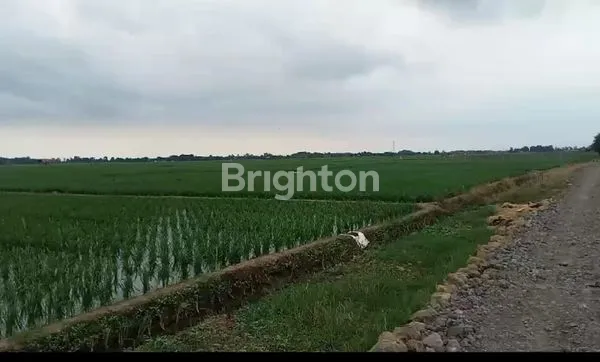 image TANAH LUAS DI DAERAH SUBANG  (1)