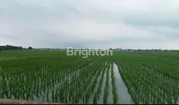 image TANAH ZONA INDUSTRI DI SUBANG (4)