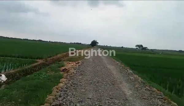 TANAH ZONA INDUSTRI DI SUBANG