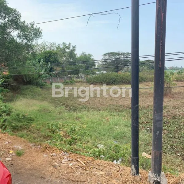 image TANAH LUAS DAN ZONA INDUSTRI DI SUBANG  (3)