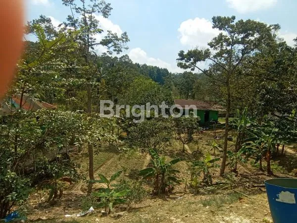 image DIJUAL TANAH MURAH DI JALAN POROS TANAH MERAH KOTA SAMARINDA (3)