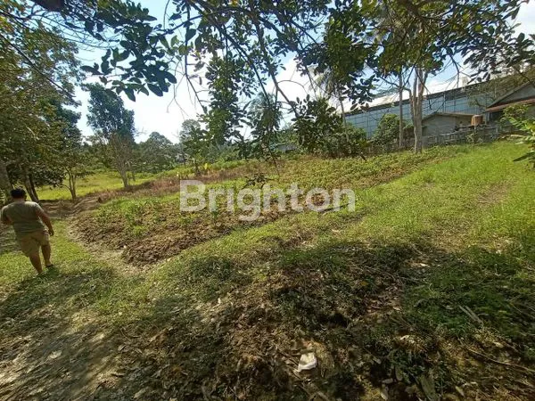 image DIJUAL TANAH MURAH DI JALAN POROS TANAH MERAH KOTA SAMARINDA (5)