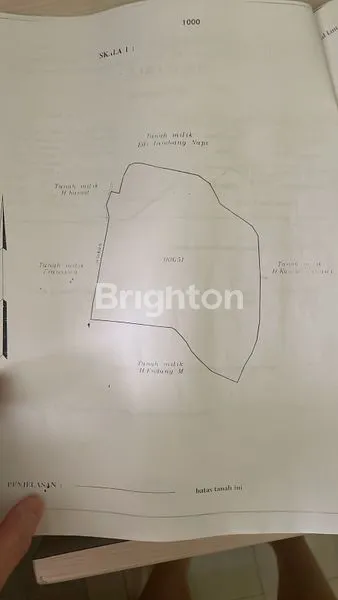 image TANAH DIJUAL CIHANDEULEUM PUNCAK  (5)