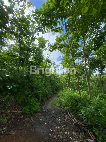 image TANAH STRATEGIS DI NUSA PENIDA (2)