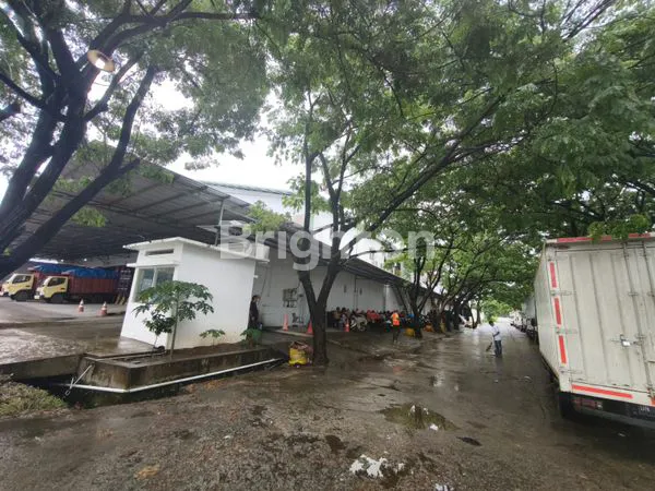 image GUDANG MINUMAN NEGO SAMPAI DEAL (3)