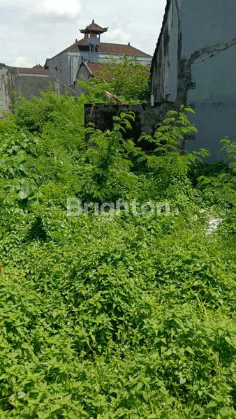 image TANAH MURAH DI GUNUNG AGUNG COCOK UNTUK MEMBUAT GUDANG, RUMAH, TEMPAT KULINER DLL (3)