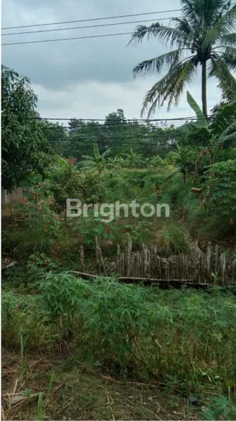 image TANAH STRATEGIS PINGGIR JALAN UTAMA SEBERANG ULU I SUMATERA SELATAN (5)