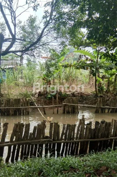 image TANAH STRATEGIS PINGGIR JALAN UTAMA SEBERANG ULU I SUMATERA SELATAN (6)