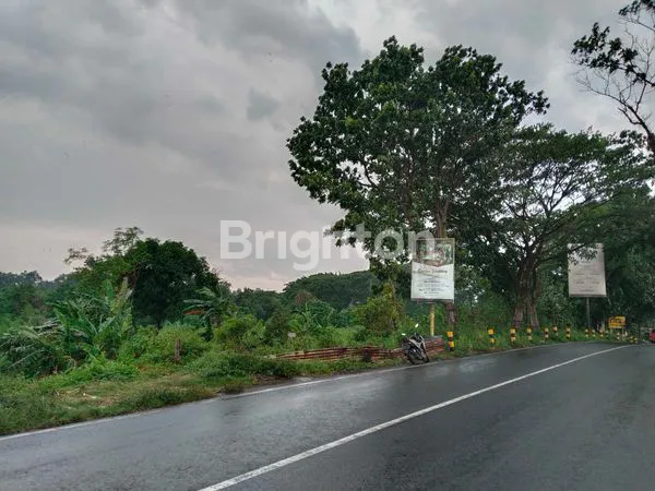 image TANAH PRIGEN PANDAAN PASURUAN 1,5 HEKTAR (2)