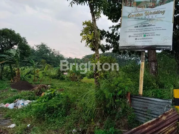 image TANAH PRIGEN PANDAAN PASURUAN 1,5 HEKTAR (3)