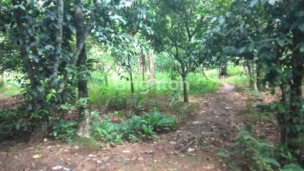 image TANAH RESIDENSIAL (4)