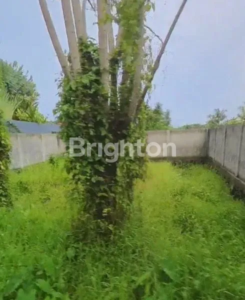 TANAH KAWASAN VILLA DAN PARIWISATA UBUD GIANYAR